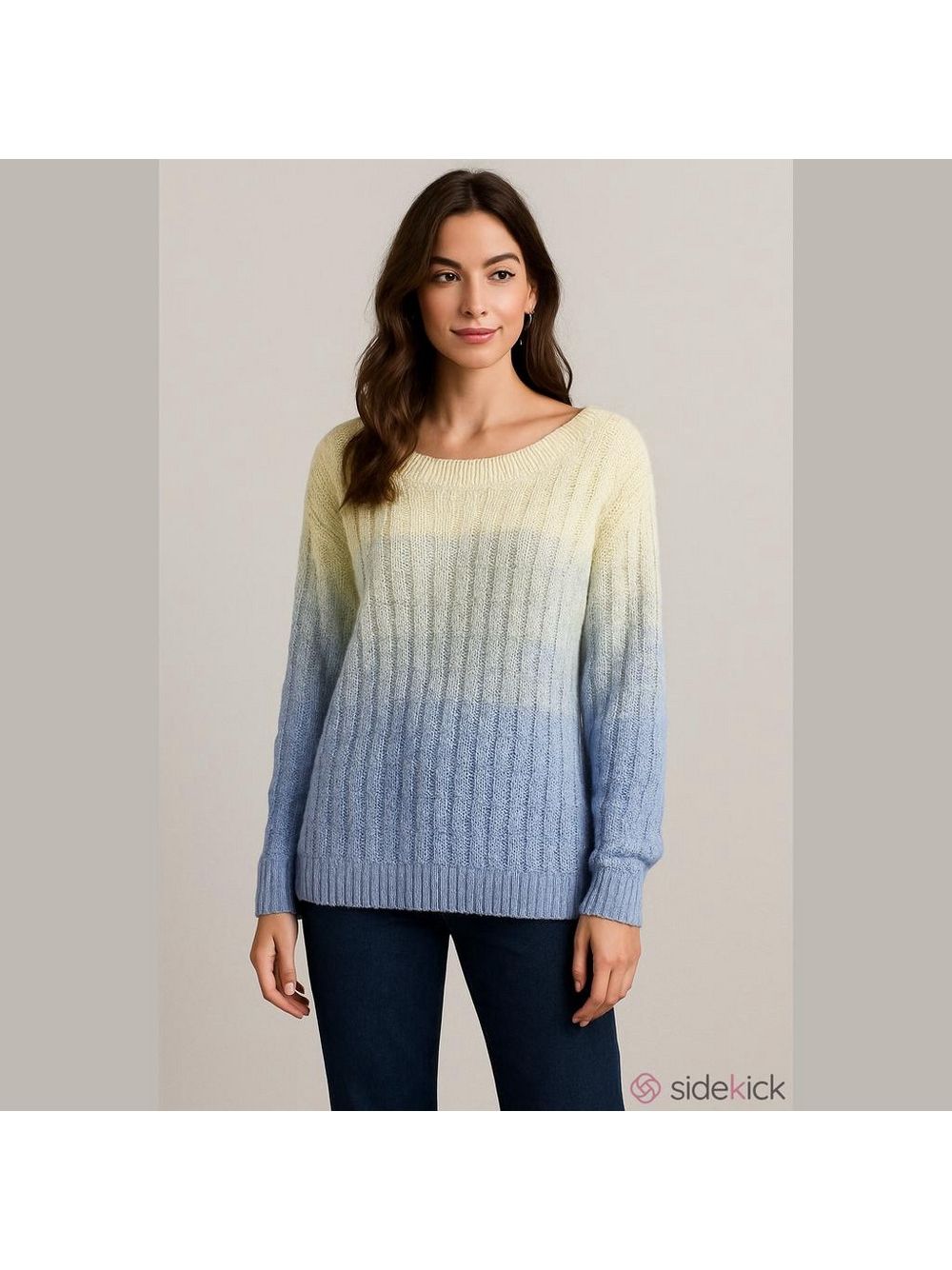 Size 1x D/C Penningtons Blue Ombre Cozy Boat Neck Sweater